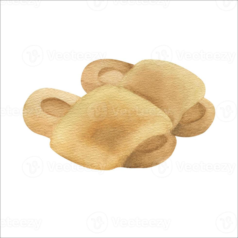 Watercolor slippers. Cute illustration about relaxation and home comfort. Hand drawn isolated on a white background. photo