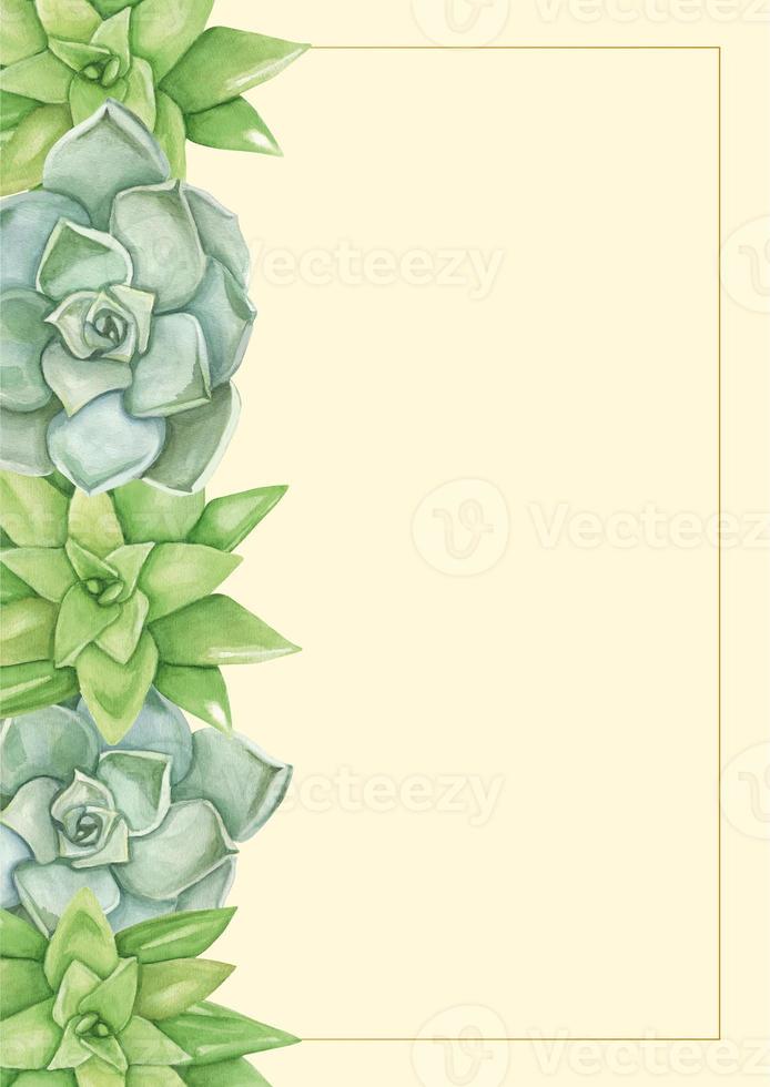Background is yellow and a border of succulent. For your text. photo