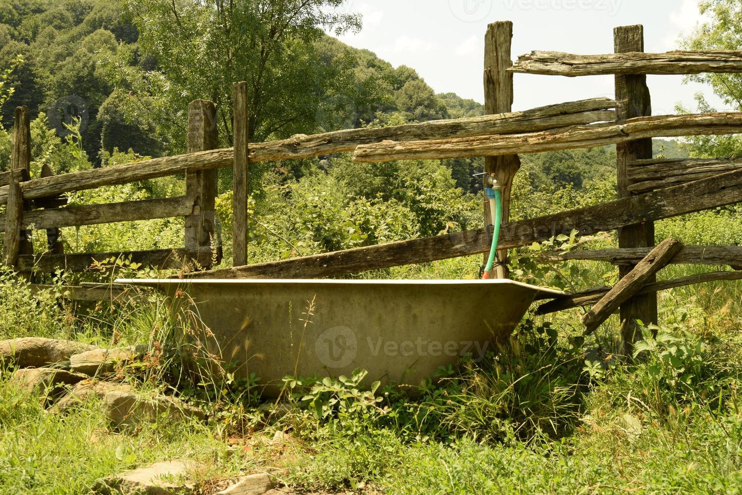 An old bathub outdoors, recycled as a drinking trough for cattle in the countryside, in a beautiful natural landscape of greenery, on a sunny day photo