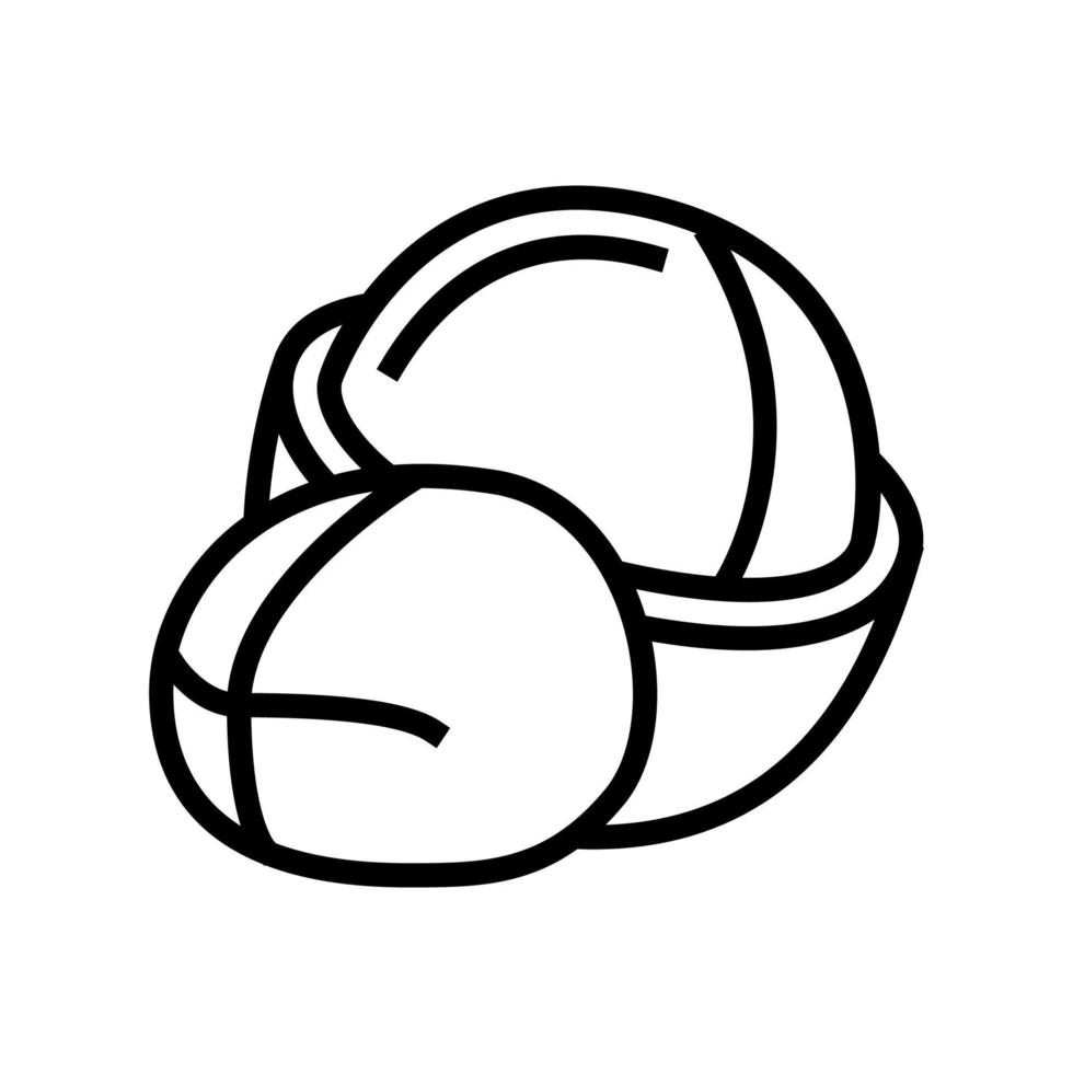 macadamia nut line icon vector illustration
