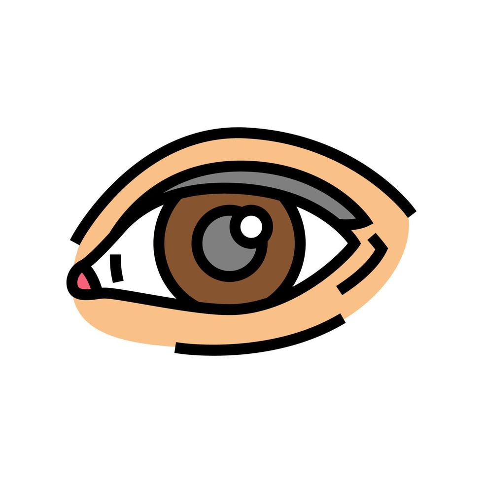 eye face color icon vector illustration