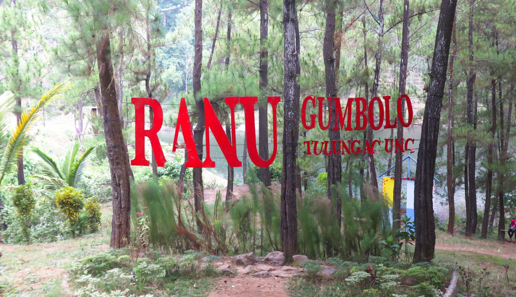 Tulungagung, Jawa timur, Indonesia, 2022 - Ranu Gumbolo's artificial garden in the city of Tulungagung photo