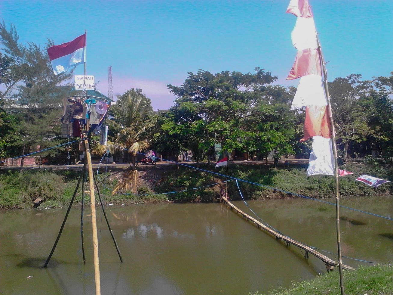 Augustus climbing areca nut competition before it starts photo