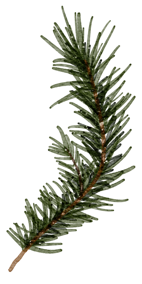 Christmas element watercolor png