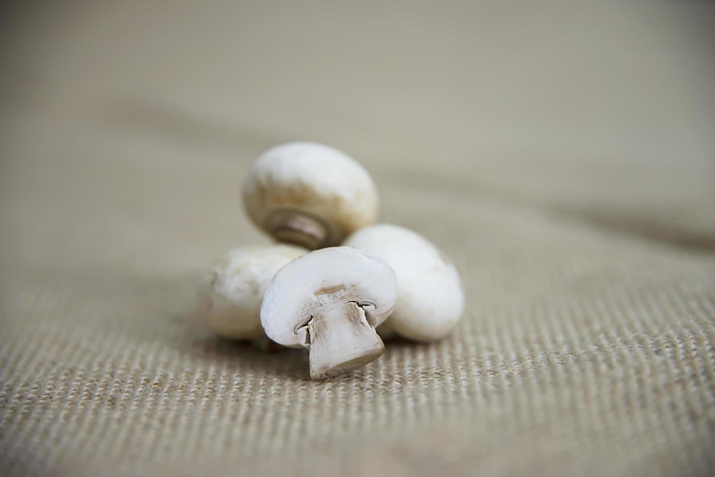 Fresh champignon mushroom vegetable in the kitchen - fresh mushroom vegetable cooking concept photo