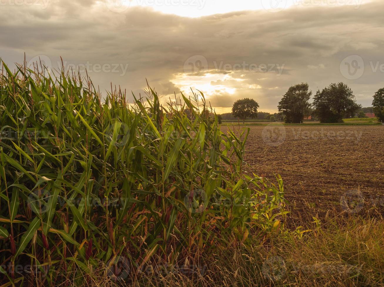 the small village weseke in westphalia photo