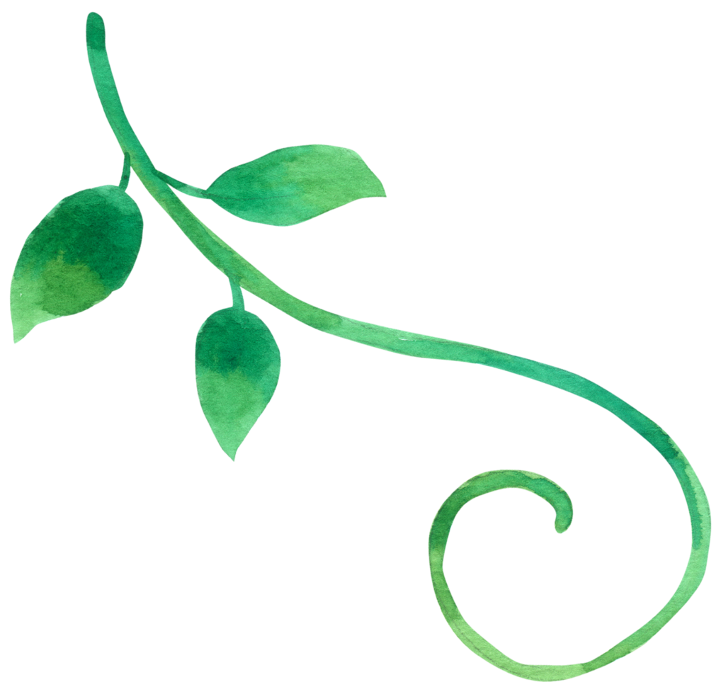 Green Leaf watercolor png