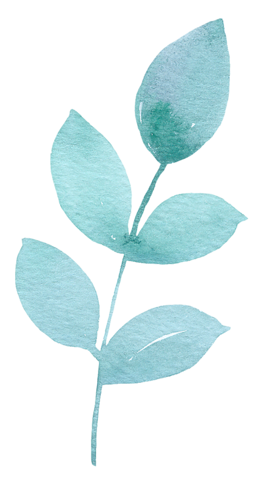 Green Leaf Element watercolor png