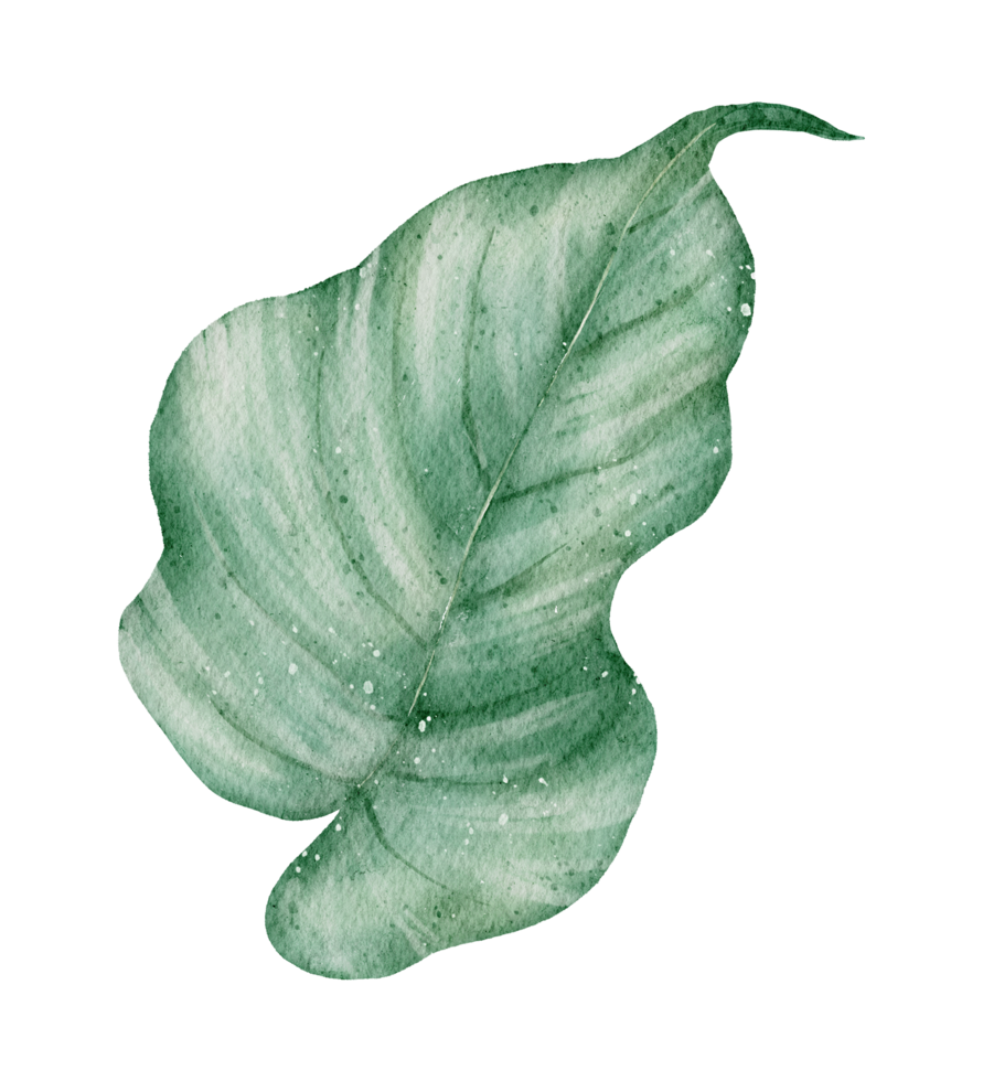 Leaf Element watercolor png