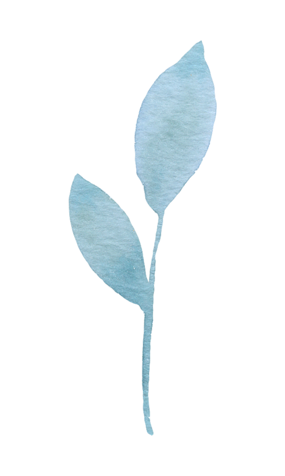 aquarelle de feuille de violette png