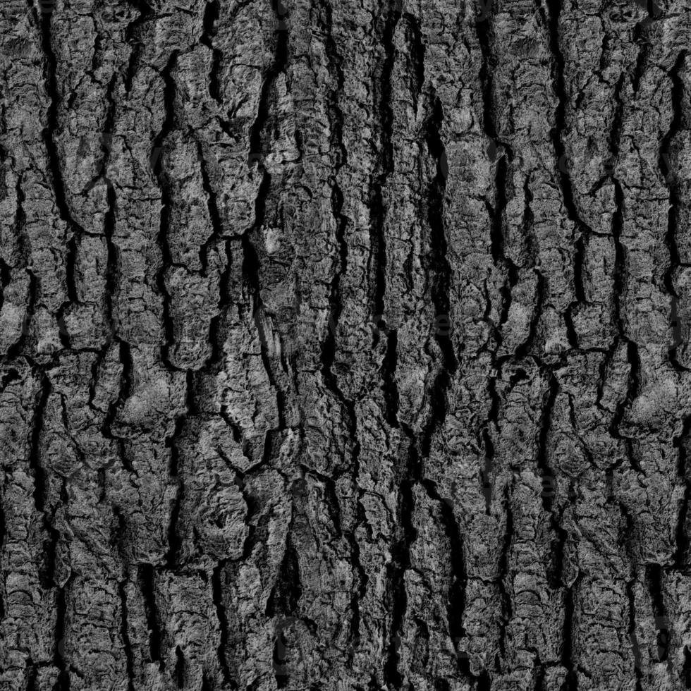 old wooden background, wooden table or floor. 3d render photo