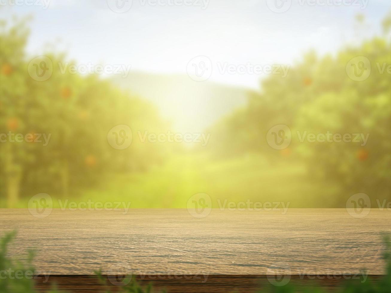 Empty wooden table with more space than orange trees, orange field background for product display montage photo