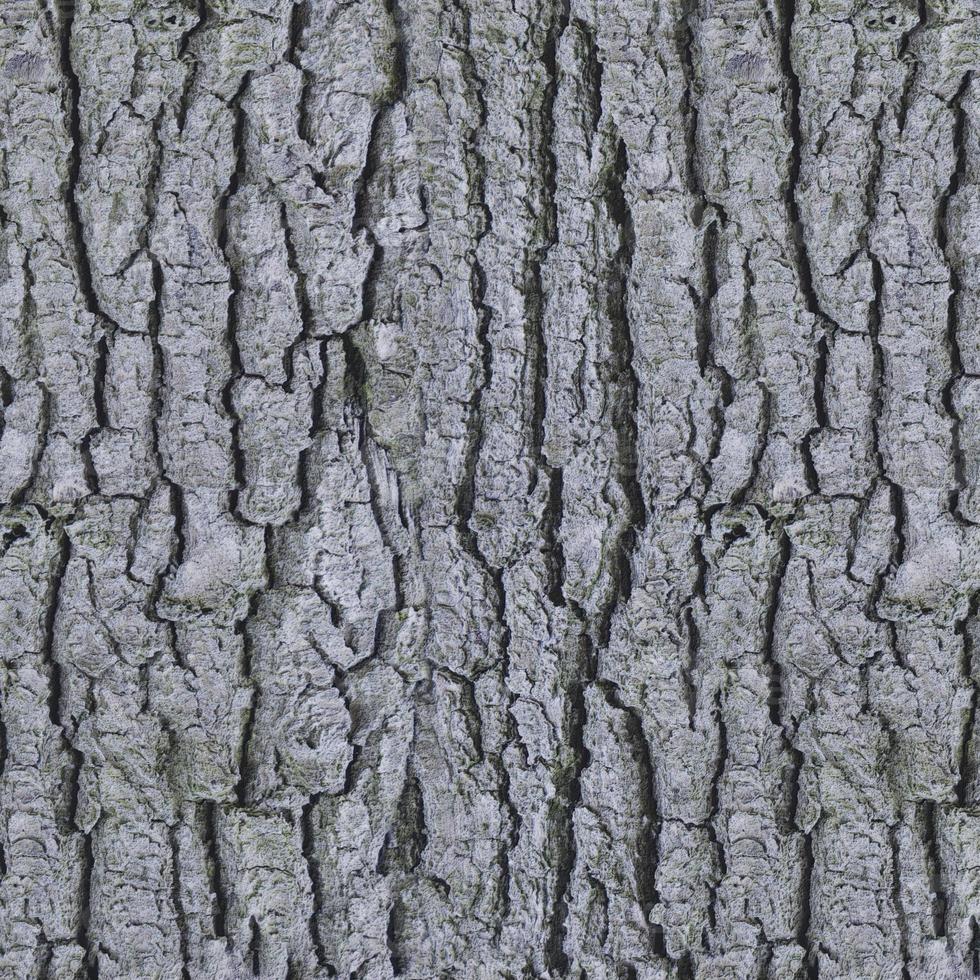 old wooden background, wooden table or floor. 3d render photo