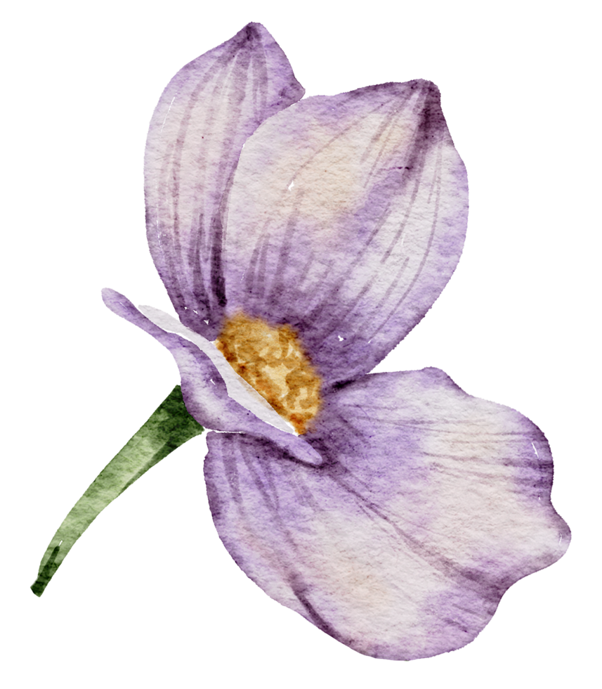 Flower Element watercolor wedding flower png