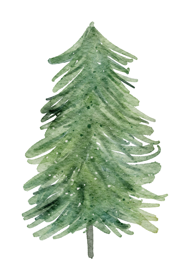 julelement akvarell png