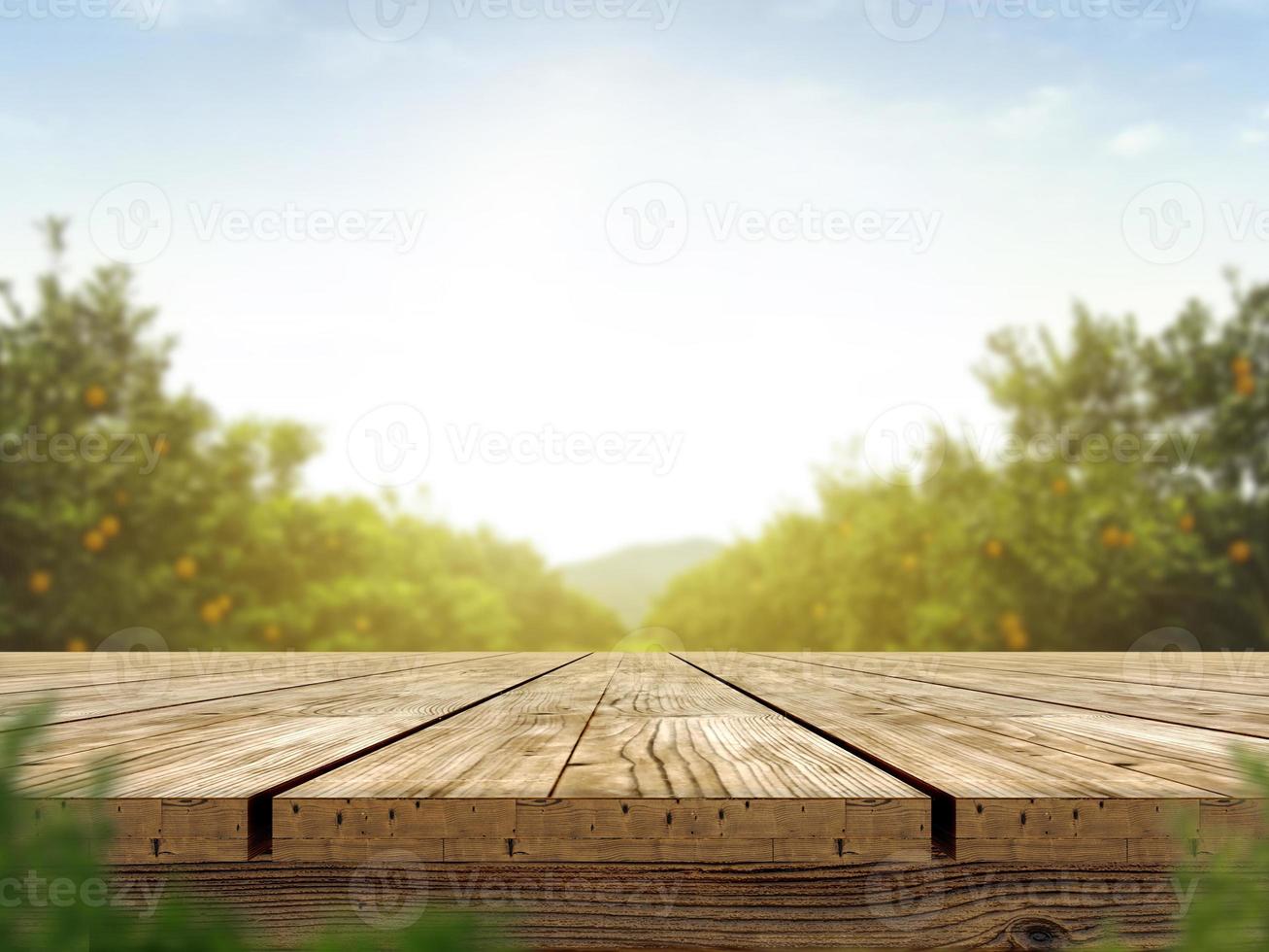 Empty wooden table with more space than orange trees, orange field background for product display montage photo