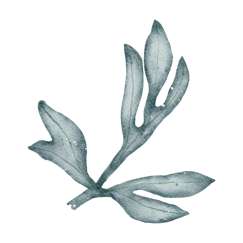 aquarelle élément feuille png