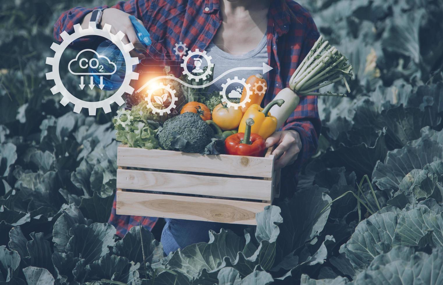 Futuristic businessman farms vegetables and crops using modern AI technology using mobile phones, temperature and humidity sensors, water tracking, climate control, holographic data data icons. photo