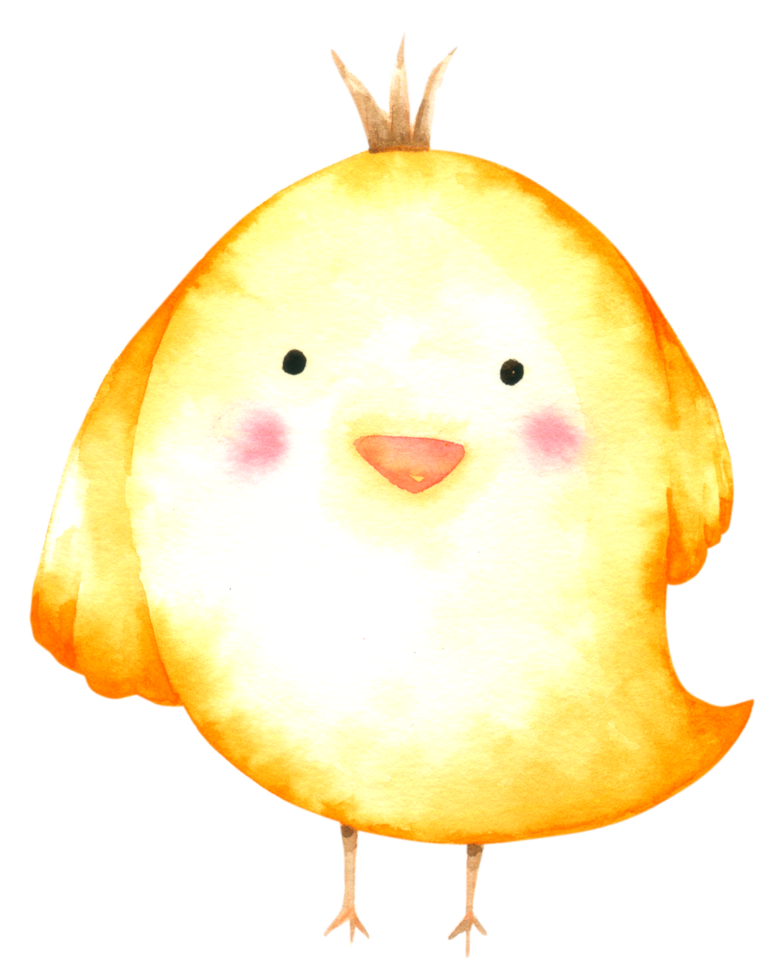 desenho de aquarela de frango fofo png