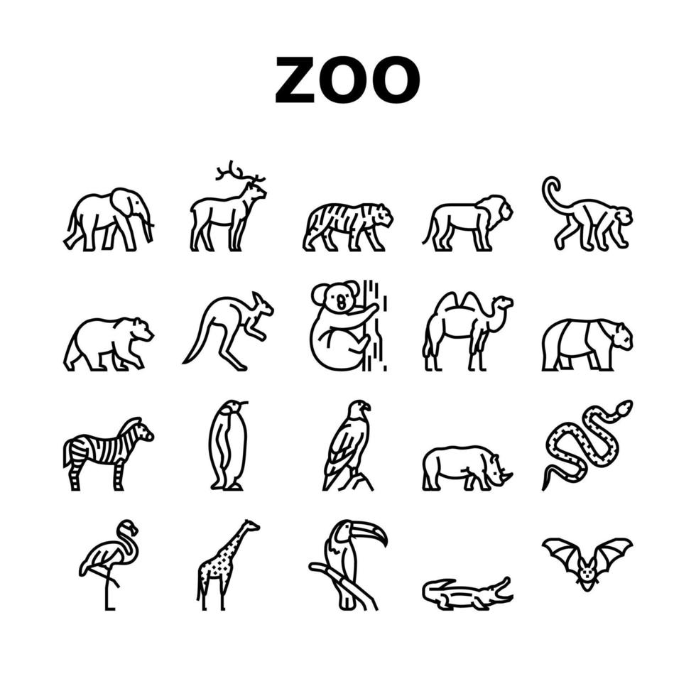 animales del zoológico, pájaros y serpientes iconos conjunto vector