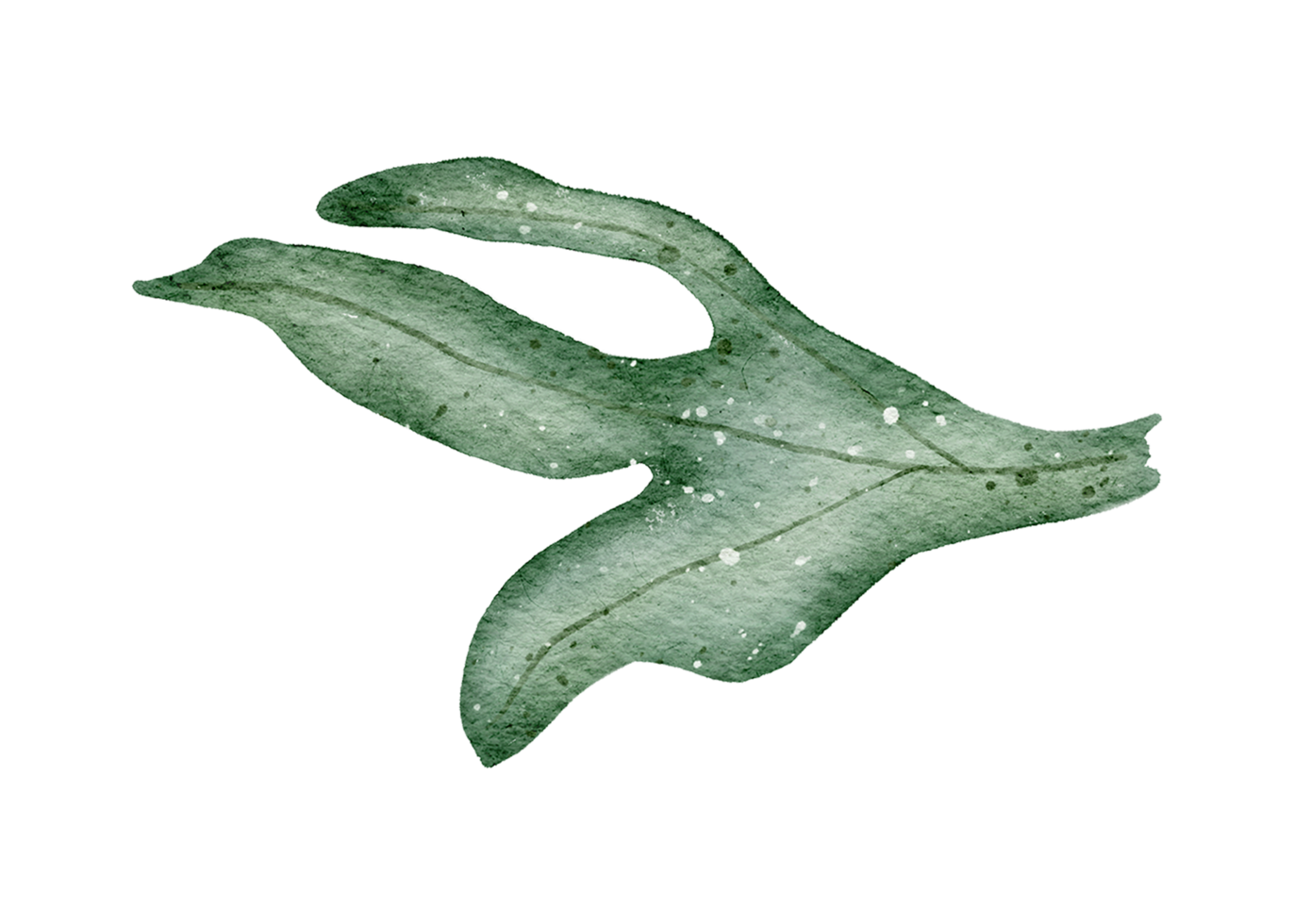 Leaf Element watercolor png