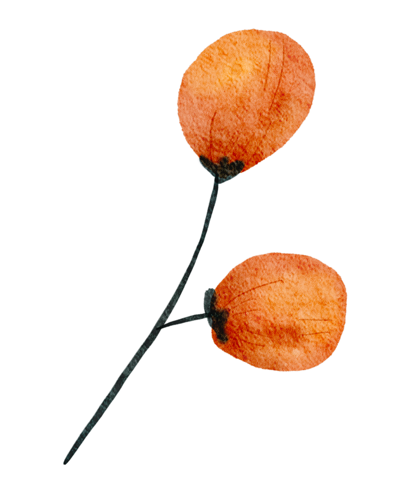 Free acuarela de flores y hojas de otoño 10221241 PNG with Transparent Background Free acuarela de flores y hojas de otoño 10221241 PNG with Transparent Background