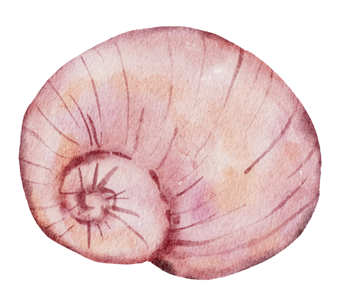 summer watercolor element png