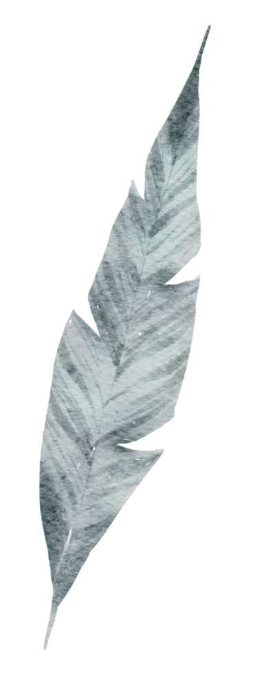 aquarelle élément feuille png