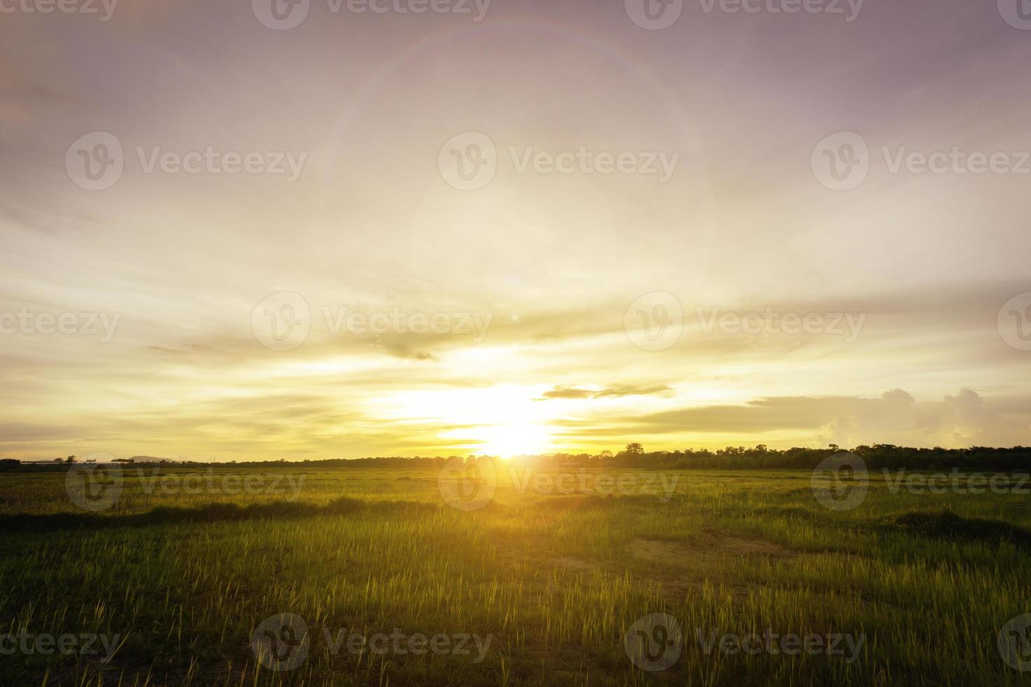 empty glassland and  sunset photo