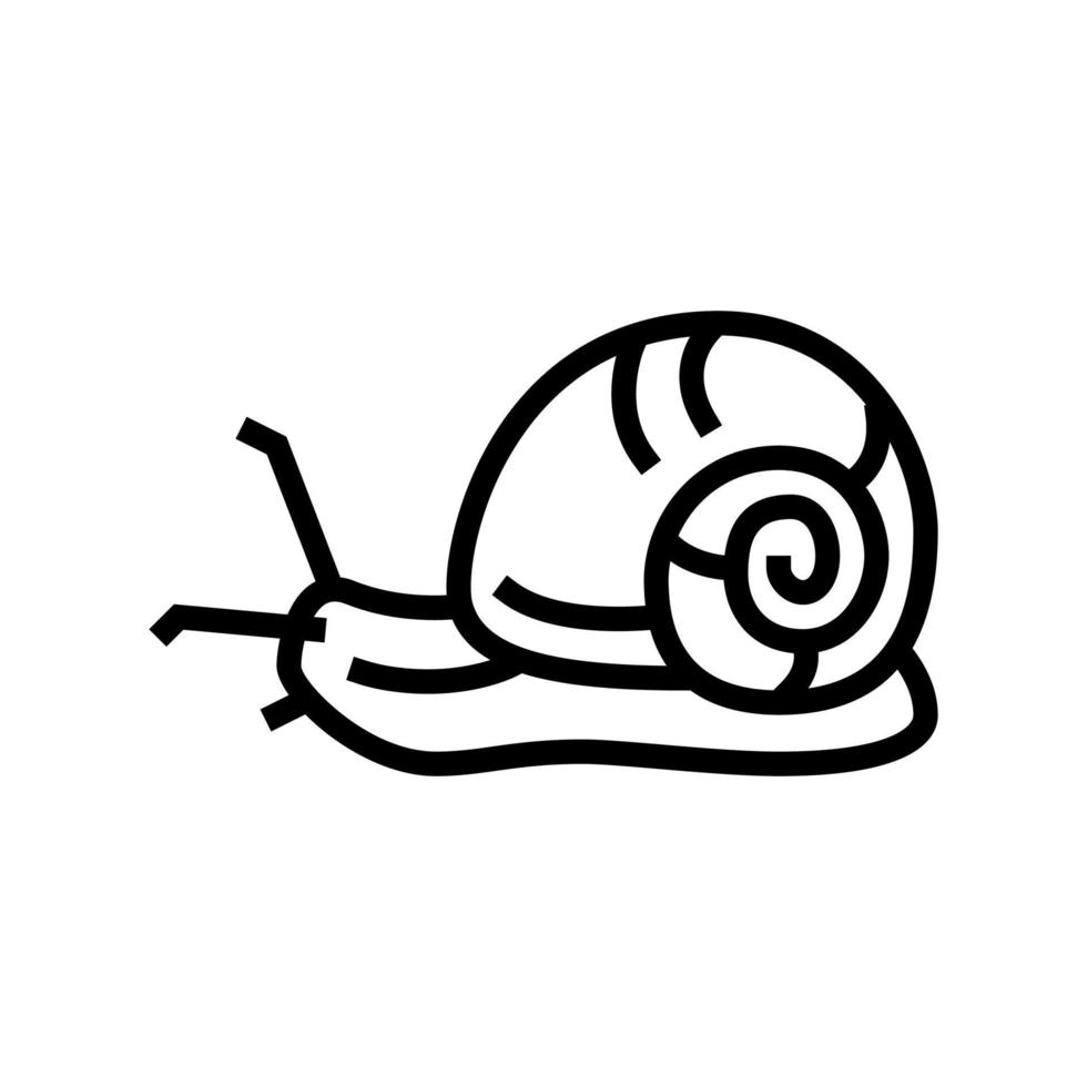 caracol insecto línea icono vector ilustración