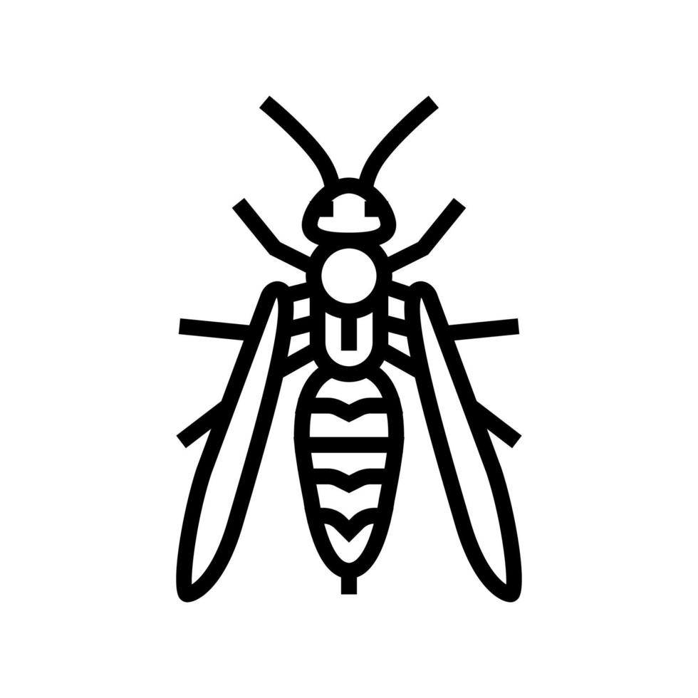 wasp insect line icon vector illustration