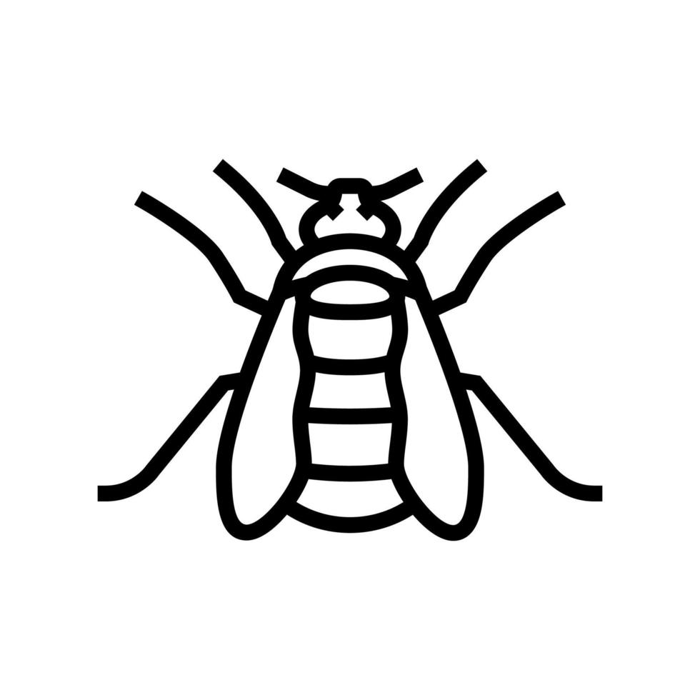 bumblebee insect line icon vector illustration