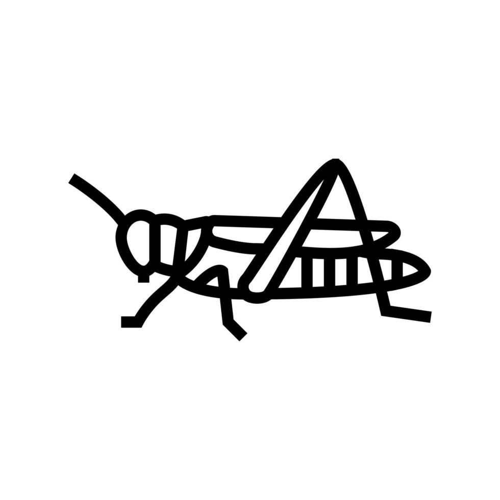 grasshopper insect line icon vector illustration