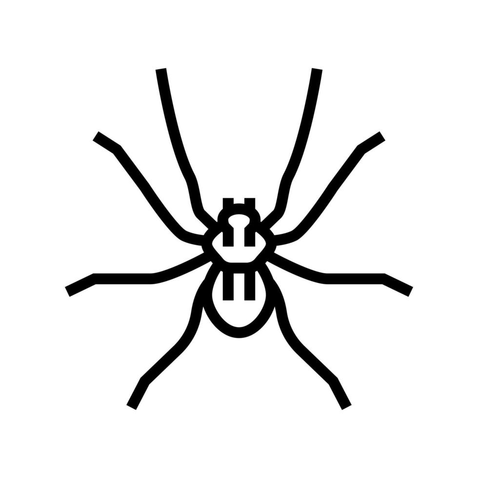 araña insecto línea icono vector ilustración