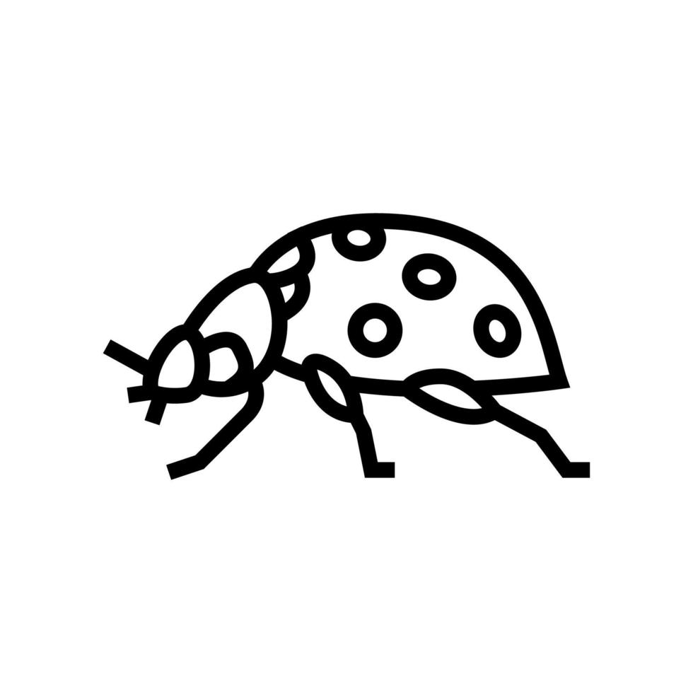 mariquita insecto línea icono vector ilustración