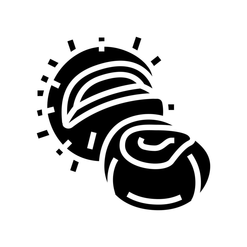 chestnut nut glyph icon vector illustration