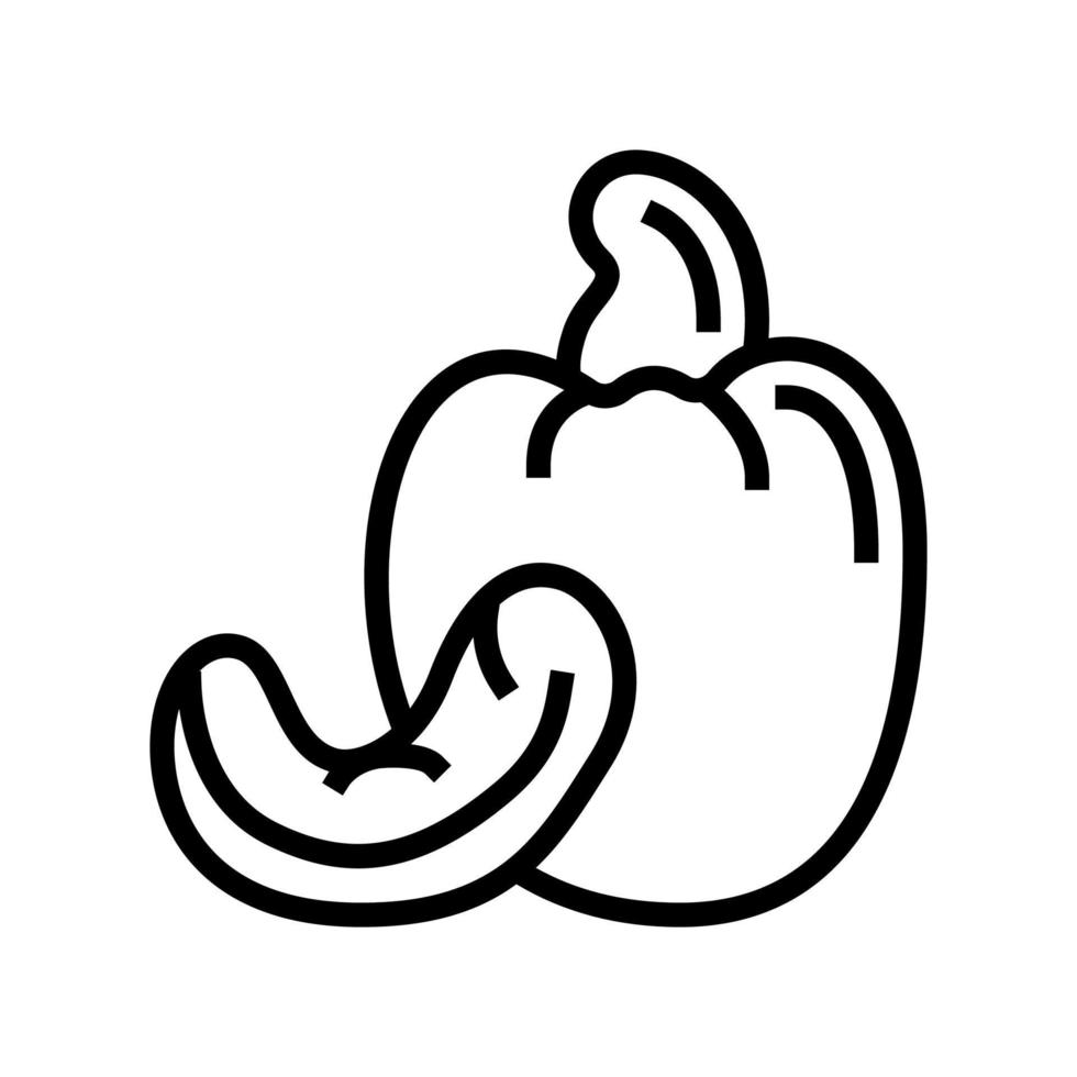 cashew nut line icon vector illustration