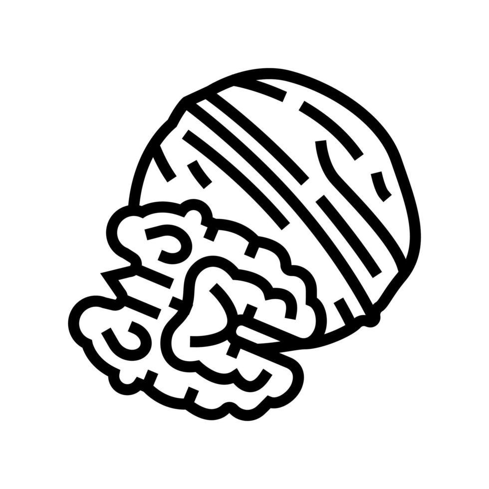 walnut nut line icon vector illustration