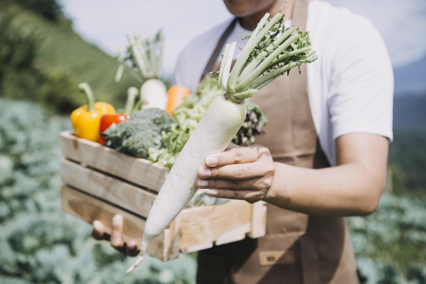 female farmer working early on farm holding wood basket of fresh vegetables and tablet photo