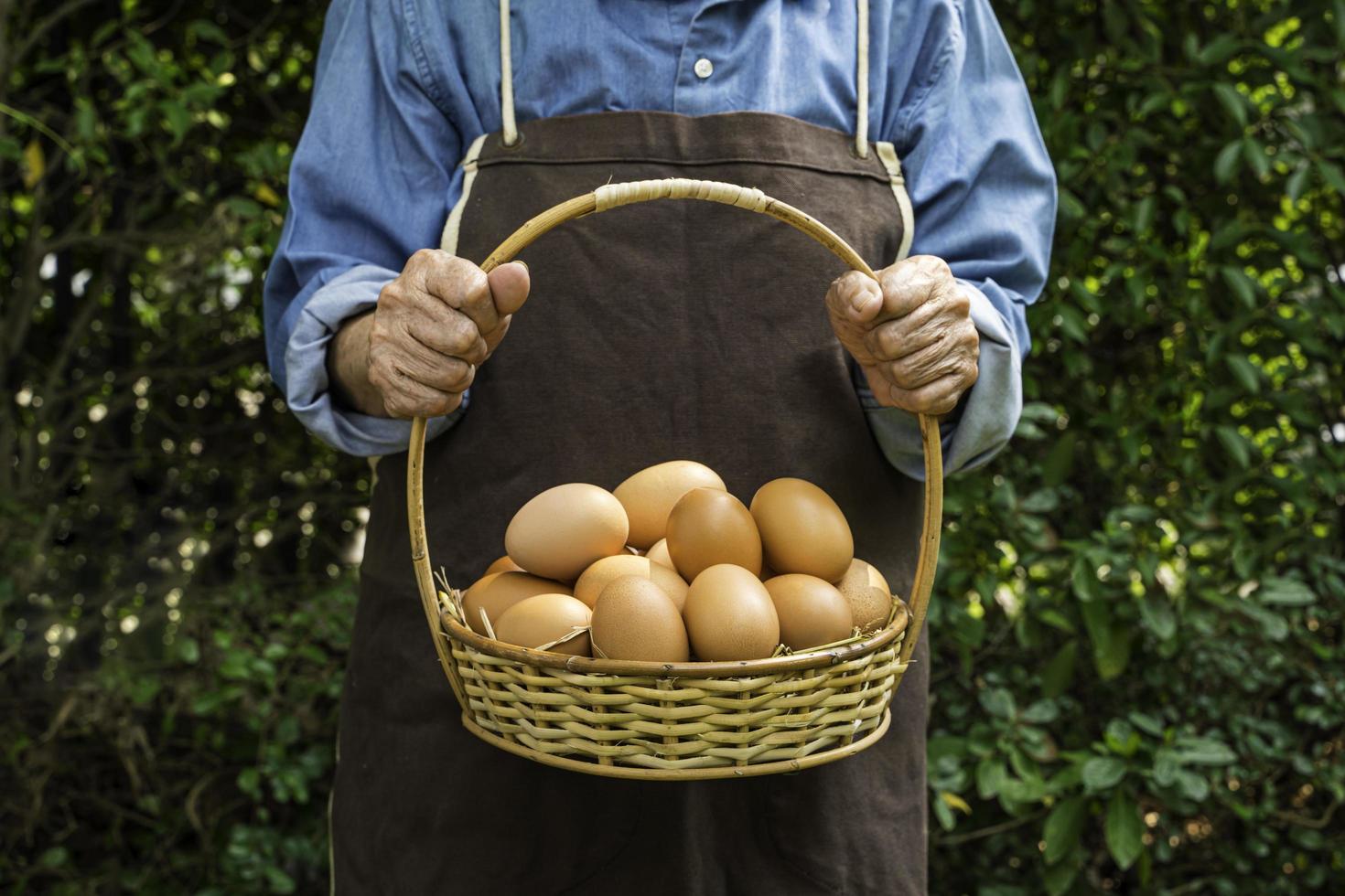 Fresh chicken eggs in a basket, from the farm, in the hands of an old woman. photo