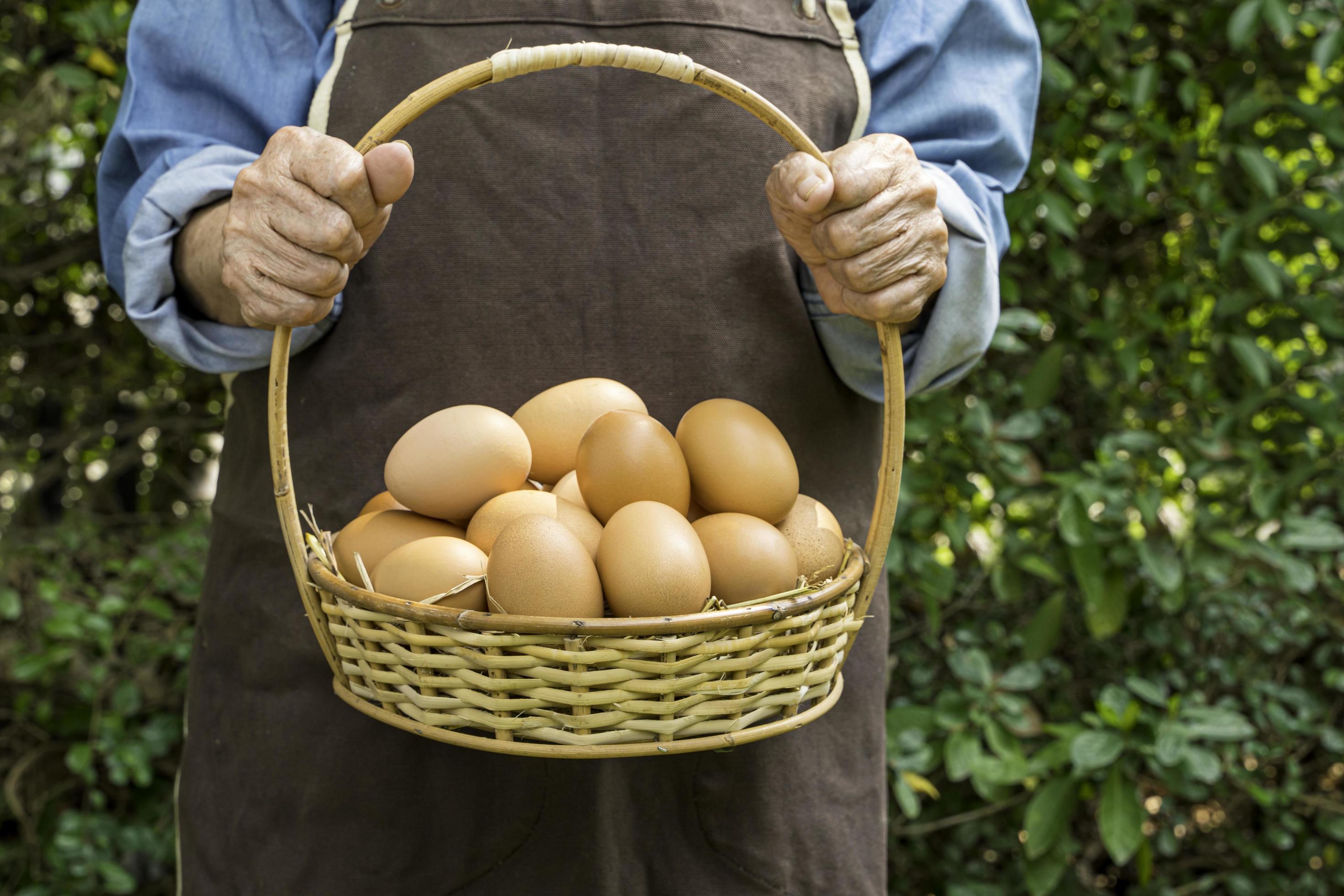 Fresh chicken eggs in a basket, from the farm, in the hands of an old