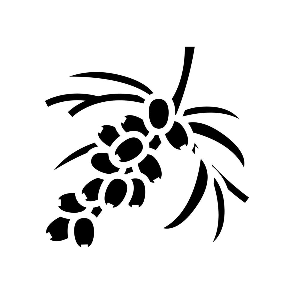 Ilustración de vector de icono de glifo de rama de árbol de baya de espino cerval