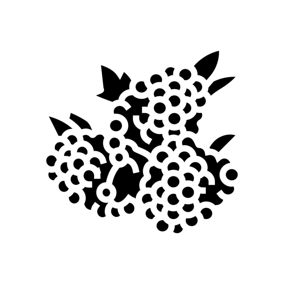 raspberry berry glyph icon vector illustration