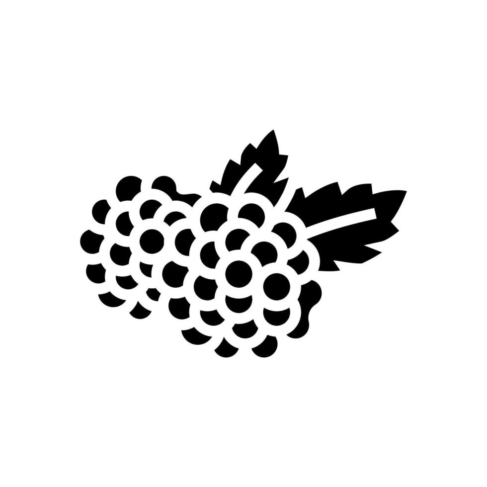 blackberry berry glyph icon vector illustration