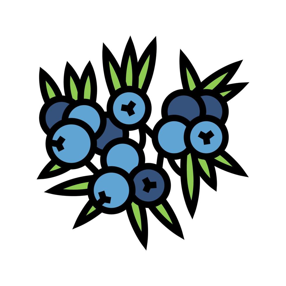 juniper berry color icon vector illustration