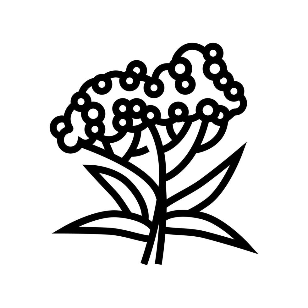 elderberry tree branch line icon vector illustration