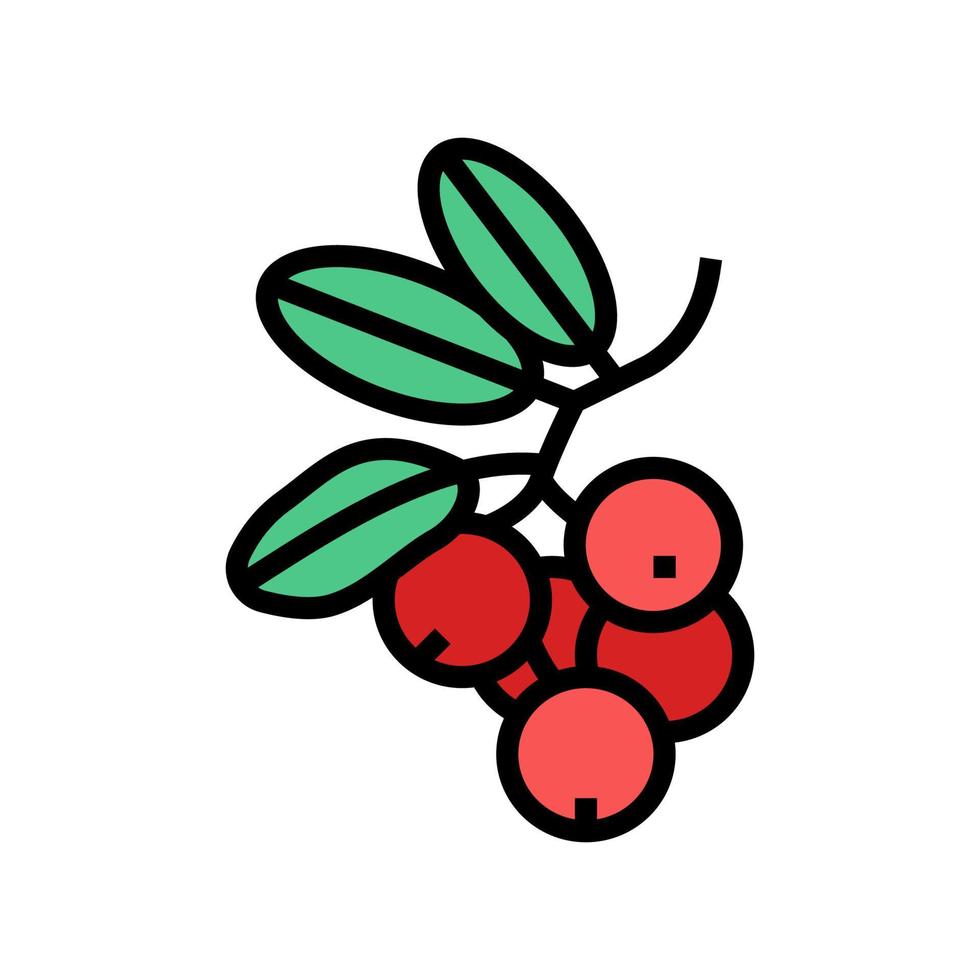 Ilustración de vector de icono de color de bayas de arándano rojo