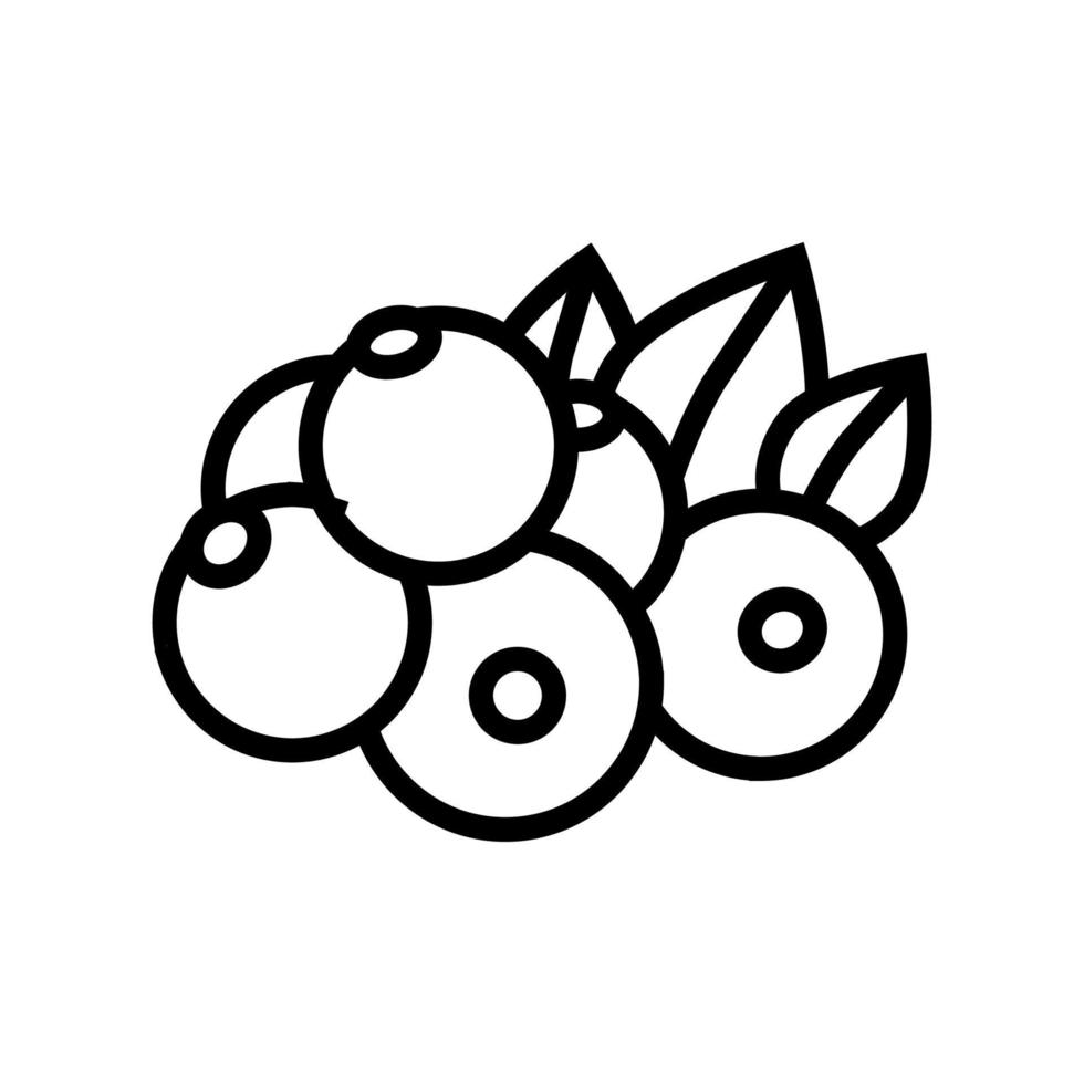 currant berry line icon vector illustration