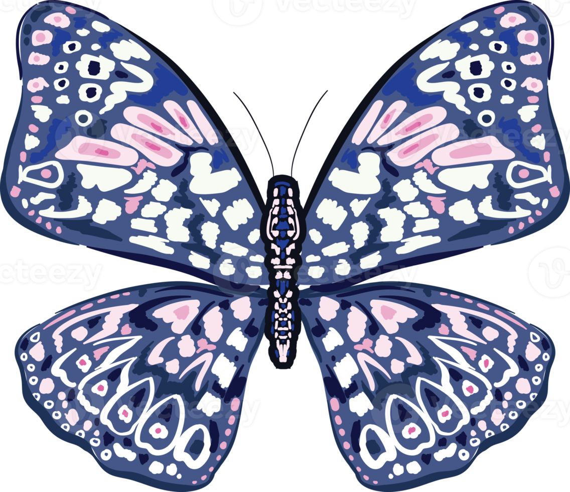 Elegant exotic butterflies colorful wings decorative png