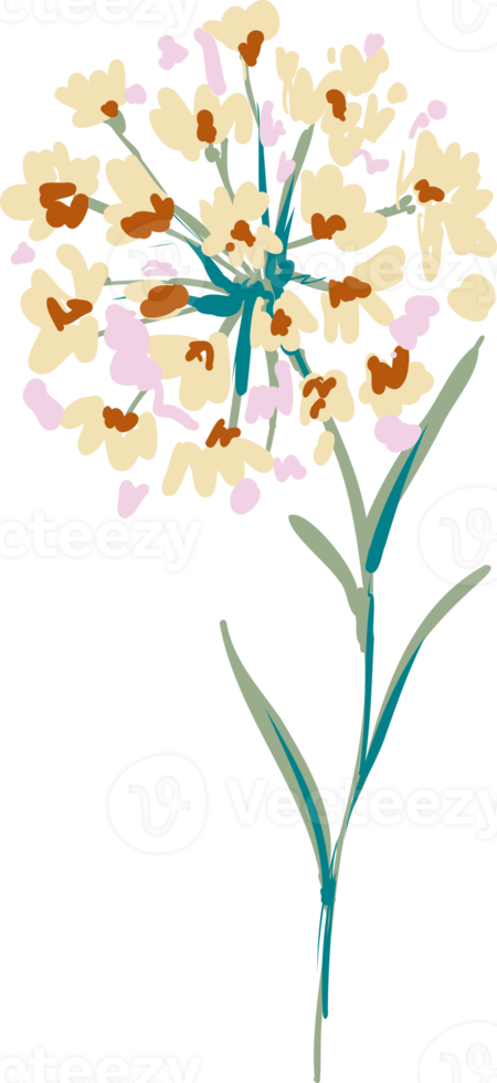 Hand drawn Meadow wild flower and leaves png